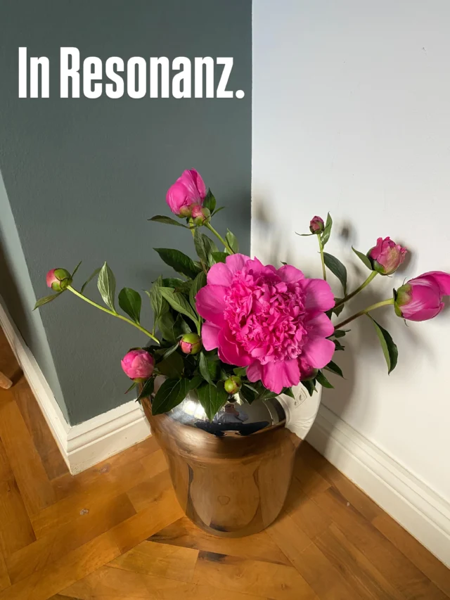Die Natur ist ein System von Schwingung und Resonanz.

Die Pflanzen stehen in direkter und ständiger Wechselwirkung mit ihrer Umgebung.

Dieses Jahr habe ich meine Pfingstrosen „geerntet“, bevor wieder Regen oder ein Gewitterschauer alle herrlichen Blüten förmlich platt macht.

Heute früh war eine Kundin bei mir vor Ort und ich habe meinem Praxis Raum mit den Pfingstrosen, die bis dahin noch alle fest verschlossen waren , dekoriert.

Während unserer Coaching und Astrologie Session, wo es inhaltlich um das Business Wachstum ging, öffnete sich bereits die erste Blüte und weitere folgten im direkten Anschluss.

Es erstaunt mich immer wieder - ein sehr ähnliches Erlebnis hatte ich mit einer verschlossenen Tulpenknospe während einem Sound Bath mit @thisiskimnadine .

🌸🌸🌸
Was dein Business zum Wachsen bringt zeigt dir die Natur sehr eindrucksvoll, nämlich einer Kombination aus :

🌸 Resonanz 
🌸 hoch schwingende Frequenzen (wie zum Beispiel eine liebevolle und positive Wortwahl)
🌸 nährende Frequenzen aus positiven #Schwingungen der #Emotionen wie Freude und Wertschätzung 

Pflanzen reagieren auf unsere #Frequenzen - ist das nicht ein wunderbares Signal?

🙏 Wir sind mit allem verbunden und hochenergetische Wesen.

Hast du bereits ähnliche Erfahrungen gemacht?

FREQUENZARBEIT 
FREQUENZ 
NERVENSYSTEM 
ASTROLOGIE 
ASTROLOGIE IM BUSINESS 
PERSÖNLICHKEITSENTWICKLUNG